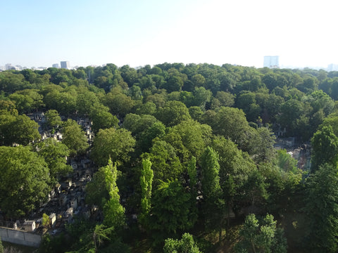 Apartment (32m2), 16th floor (last floor), incredible view on the cemetery of Pè Paris, France Pleasant & bright apartment view on Père Lachaise Entire rental unit vacation rental 23460123