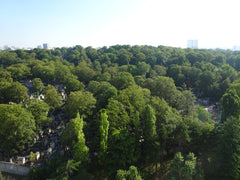 Apartment (32m2), 16th floor (last floor), incredible view on the cemetery of Pè Paris, France Pleasant & bright apartment view on Père Lachaise Entire rental unit vacation rental 23460123
