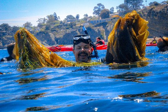 Kayak and Snorkel Tour  Private Tours and Travel Guide America Los Angeles CITY La Jolla Destination Tour