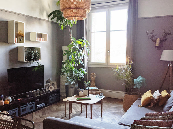 Dans un quartier très agréable, très vivant, avec de nombreux cafés et restauran Lyon, France Idéalement situé et très chaleureux Entire rental unit vacation rental 21330926