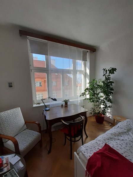 Newly renovated 3bedroom typical family apartment situated close to Wenceslas Sq Prague, Czechia 1 bright room, in the center Private room in rental unit vacation rental 19088907