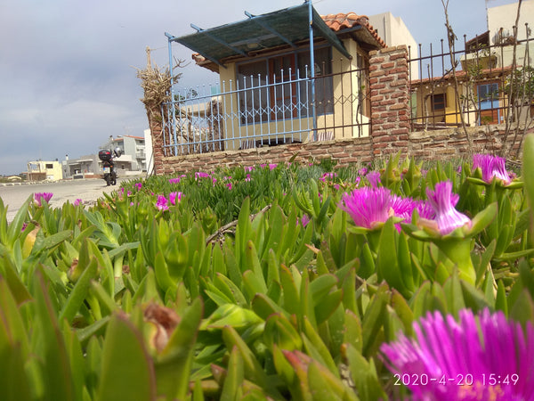 Α Cozy Little Home !<br /><br /><b>The space</b><br />Το δωμάτιο βρίσκεται σε έν Chania, Greece Tiny beauty -  