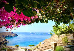 A traditional cycladic 3 bedroom house, with balconies and garden, overlooking a Athens, Greece Ballos Terraces/Vourni  beach(Tinos island) Cycladic home vacation rental 12199350