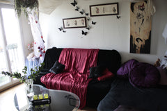 An arty flat in the the heart of Bastille, close the historical centre & from pu Paris, France Arty  flat with balcony in Bastille Entire rental unit vacation rental 1493818