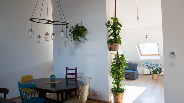 You will be living in a wonderful rooftop apartment with a nice terrace, firepla Vienna, Austria Rooftop room near Meidlinger markt Private room in condo vacation rental 50561106