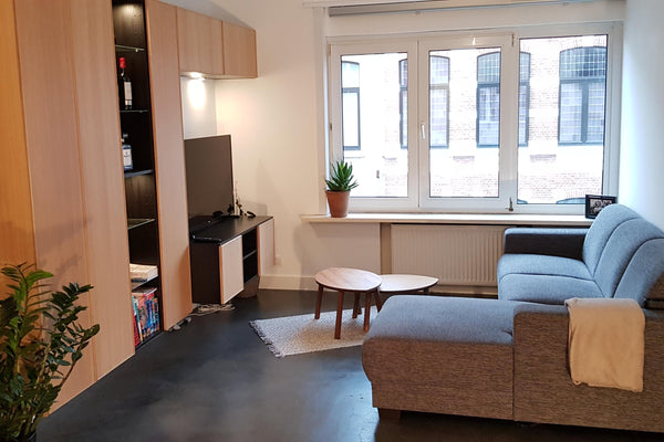 Modern and spacious apartment in a residential and quiet street yet a vibrant ne Antwerpen, Belgium Modern apartment in vibrant neighborhood Entire rental unit vacation rental 41348633