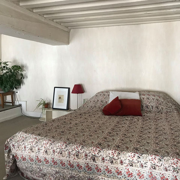 Appartement typique des Canuts dans les pentes de la Croix Rousse, très cosy et  Charly, France Calme, cosy et lumineux, pentes de la Croix Rousse Entire rental unit vacation rental 44657033