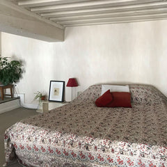 Appartement typique des Canuts dans les pentes de la Croix Rousse, très cosy et  Charly, France Calme, cosy et lumineux, pentes de la Croix Rousse Entire rental unit vacation rental 44657033