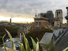 Amazing studio located in front of Notre Dame, with a perfect view.<br />Perfect Paris, France Amazing view studio Notre Dame Entire rental unit vacation rental 9486445
