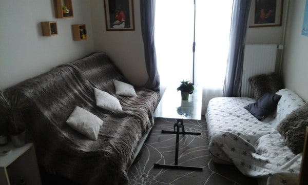 We live in this cosy appartement with my sister Alice; 3 rooms, one big kitchen, Paris, France Confortable room in Paris-Belleville Private room in rental unit vacation rental 12598759