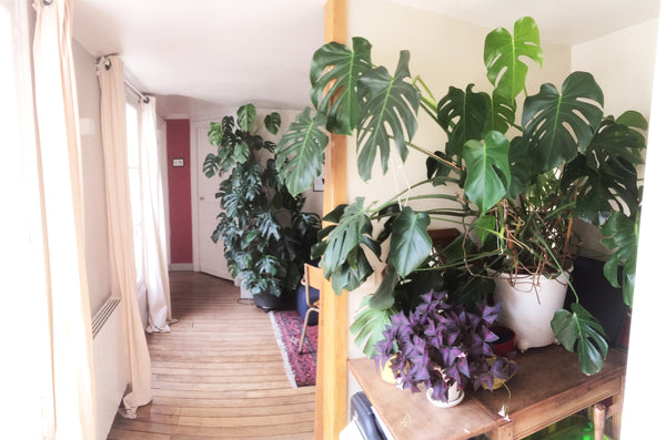 A private bedroom in a 60m2 flat with two bedrooms, perfectly located: 1mn walki Paris, France A private room in a cosy parisian flat /République Private room in rental unit vacation rental 4755664