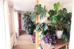 A private bedroom in a 60m2 flat with two bedrooms, perfectly located: 1mn walki Paris, France A private room in a cosy parisian flat /République Private room in rental unit vacation rental 4755664