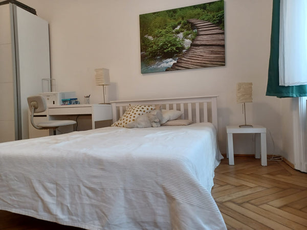 Kleine aber feine Ferienwohnung für zwei Personen. Liegt optimal zentral im 7. B  Liebenswerte Ferienwohnung im 7. Bezirk Entire condo vacation rental 687357088098403614