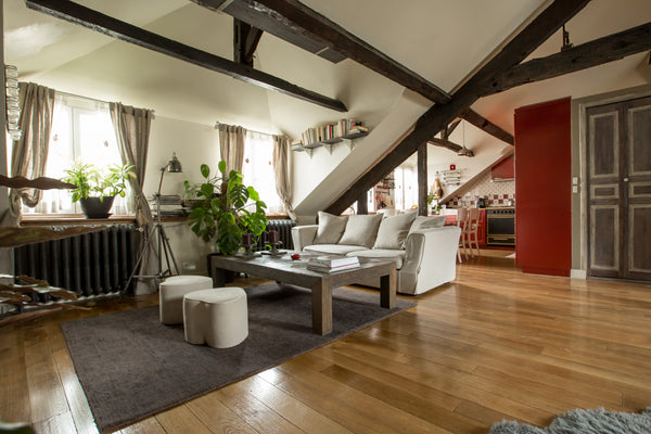 Bel Appartement atypique, mansardé, un très bel espace soigné et meublé avec gou Paris, France Lovely apartment near Bastille Entire loft vacation rental 7052300