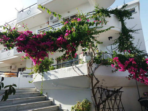 Air-conditioned apartment/suite with one bedroom and a separate room with an add Atlanta, GA Dolce Vita Entire rental unit vacation rental 44355854