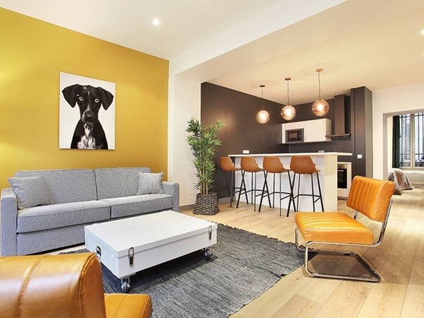 living room with a flat-screen TV, Ac, kitchen, sofa bed<br /><br /><b>The space Paris, France St Denis 2 Entire rental unit vacation rental 15078264
