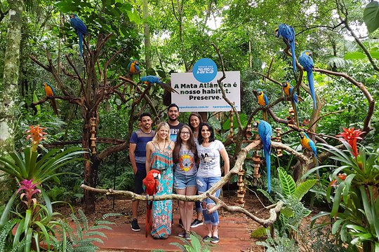 Bird Park General Admission Ticket and Tour  Private Tours and Travel Guide America Sao Paulo CITY Foz do Iguacu Destination Tour