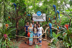 Bird Park General Admission Ticket and Tour  Private Tours and Travel Guide America Sao Paulo CITY Foz do Iguacu Destination Tour America Sao_Paulo CITY Foz do Iguacu