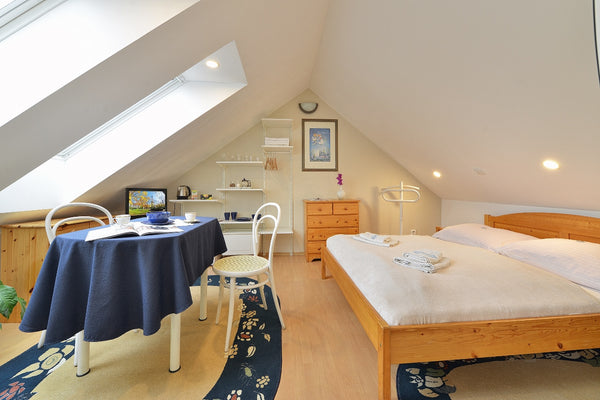 Hlavní město Praha, Czechia Attic suite, kitchen corner, 2 bedrooms Private room in villa vacation rental 49282696