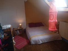 A deux pas d'une station de métro qui vous mènera en dix minutes au centre de Br Ottignies-Louvain-la-Neuve, Belgium Chambre dans une charmante maison bruxelloise Private room in casa particular vacation rental 53917671
