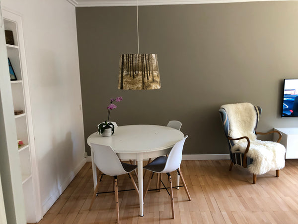 You will live close to everything:<br />- train/bus  transport ( 5-8 min., no no Copenhagen, Denmark Lovely cosy apartment Entire condo vacation rental 11952917