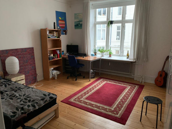 Turin, Italy Spacious and bright room in central location Private room in condo vacation rental 46118285