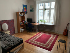  Turin, Italy Spacious and bright room in central location Private room in condo vacation rental 46118285