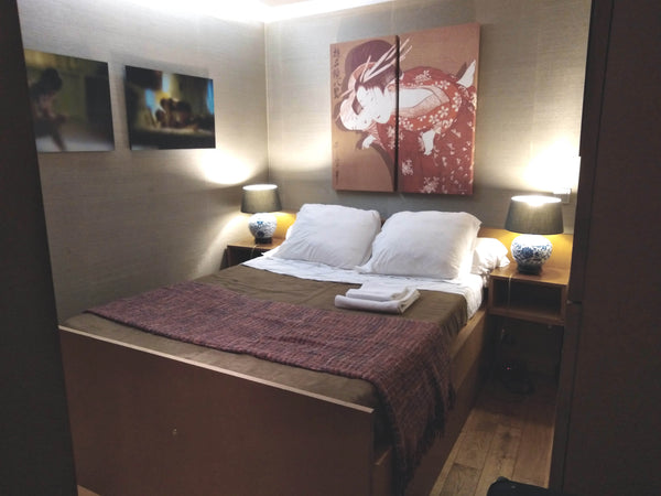 Free WIFI - International call Free. International TV Channels. Air conditioning Paris, France Le Marais Pompidou Museum  -1 bedroom Entire rental unit vacation rental 15151005