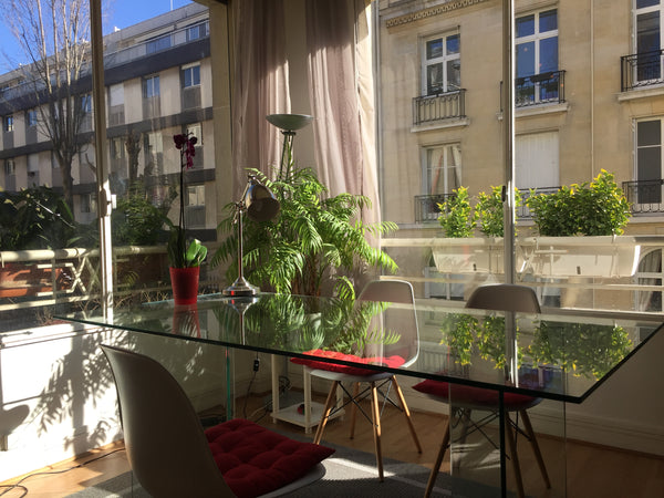 Charmant appartement, dans un immeuble de standing, très ensoleillé, idéal pour  Paris, France Studio Lumineux et Cosy Paris 16 Entire rental unit vacation rental 11393891