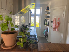 Nørrebrogade 102 byder dig velkommen til en rummelig lejlighed med plads til hel Copenhagen, Denmark Skøn rummelig lejlighed midt på Nørrebrogade Entire rental unit vacation rental 52251819