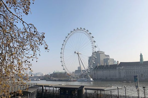 The Best of London In A Day Private Car Tour  Private Tours and Travel Guide Europe London CITY London Destination Tour Europe London CITY London