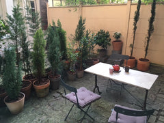 studio sur cour arborée, très calme, proche du quartier des bars<br /><br /><b>L Paris, France Studio avec cour arborée Entire rental unit vacation rental 19599430