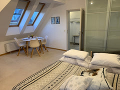 Family Villa with garden located in residential area  Hanspaulka Prague 6 in pen Prague, Czechia NEW Attic apartment in private villa with garden Entire loft vacation rental 37777999