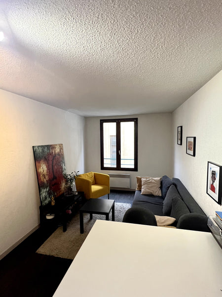 Ce logement parfaitement situé offre un accès facile à tous les sites et commodi Lyon, France Logement en plein coeur de Lyon Entire rental unit vacation rental 776587898394277839