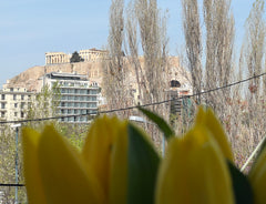 A spacious, stylish and modern apartment in the heart of Athens with a stunning, Athens, Attica, Greece Your Happy Place with Acropolis View Entire condo vacation rental 610085015573581482