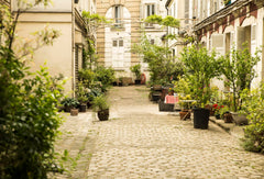 Charmant  et confortable appartement typiquement parisien au calme bucolique, ni Paris, France Charmant appartement 54m2 dans une cour fleurie Entire rental unit vacation rental 19185127