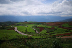 2 Days Dongchuan Red Land Photography Private Tour from Kunming  Private Tours and Travel Guide Asia Shanghai CITY Kunming Destination Tour Asia Shanghai CITY Kunming