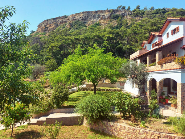 The Eden Garden Apartments are located on the west side of the island of Rhodes,  Eden Garden Apartments - Studio for 1-2 people Entire rental unit vacation rental 19814240