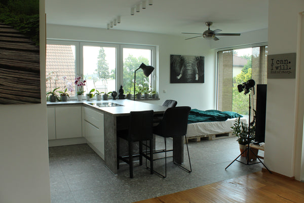 The big apartment is located in a detached house area in the 14th district of Vi Vienna, Austria Modern apartment near Vienna woods Entire condo vacation rental 643203292923772564