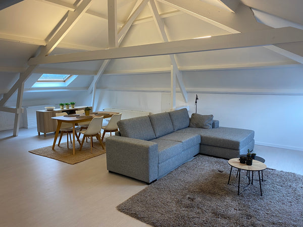 Nieuw ingerichte loft in historisch pand 