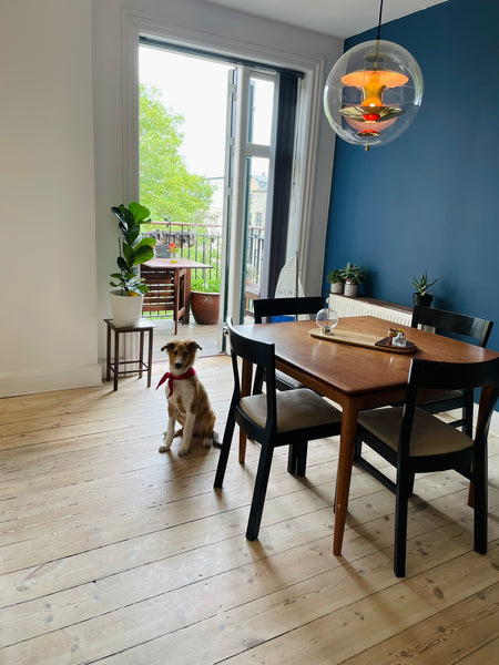 Hello everyone and welcome to my home!<br />I’m Miko and i live here with my mom Copenhagen, Denmark Miko’s palace - In The best part of Frederiksberg Entire rental unit vacation rental 52463748