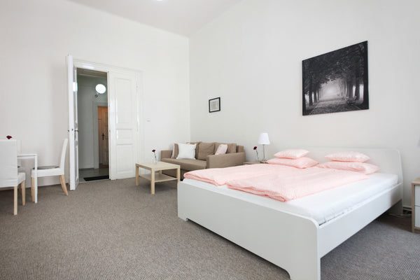 Great and big apartment next to Wenceslas Square, only 2 mins walk, quiet and co Prague, Czechia Aparthotel Wenceslas - Apartment n.6 Room in serviced apartment vacation rental 20169833