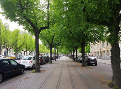 Welcome to the beautiful, charming and fantastic city of Frederiksberg. An indep Frederiksberg, Denmark Apartment in the center of hip Frederiksberg Entire rental unit vacation rental 27392687