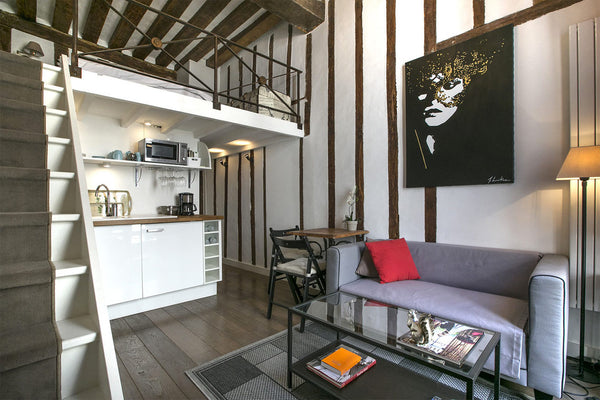 Beautiful studio with bedroom on the mezzanine, very high ceilings and charm of  Paris, France CHARMING STUDIO MARAIS - bail mobilité Entire rental unit vacation rental 14849104