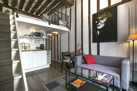 Beautiful studio with bedroom on the mezzanine, very high ceilings and charm of  Paris, France CHARMING STUDIO MARAIS - bail mobilité Entire rental unit vacation rental 14849104
