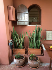 Even if you are a couple or a family of four, relax in this peaceful place! Livi  Cheerful 1-bedroom cottage with vegetable garden Entire cottage vacation rental 12788223