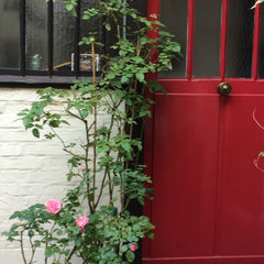Loft en duplex, ancien atelier qui a conservé son architecture industrielle.<br  Paris, France Appartement/loft au calme dans une cour arborée. Entire loft vacation rental 9244929