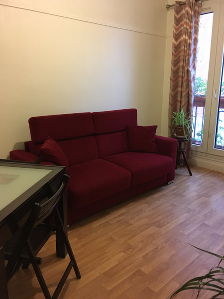 Colocation, dans un appartement , vous avez une pièce avec un canapé convertible  Chambre dans un appartement à  Paris 75013 Private room in guesthouse vacation rental 22856784