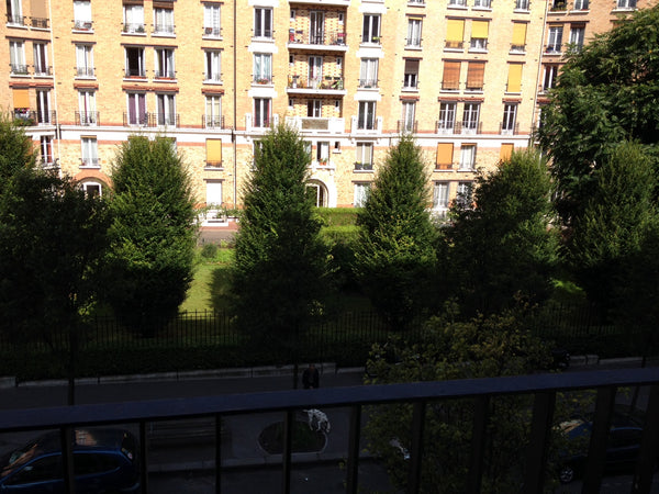 Charming 30 m2 located in the 15th ard. of Paris, near Eiffel Tower. 7 minutes a  Perfect home for a great vacation Entire rental unit vacation rental 3700714