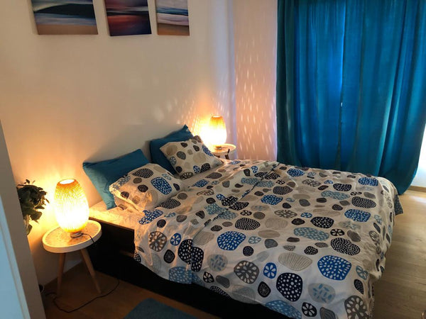 Chambre privative à louer dans un appartement proche des transports en communs e  cosy private room with a balcony At north station Private room in bed and breakfast vacation rental 50257276